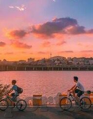 kaiyun体育官方网页-探索体育世界的奇妙之旅，Kaiyun体育的官方网页体验