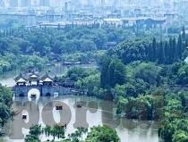 水果机技巧攻略水果机-玩转水果机，提升胜率的实用技巧与攻略