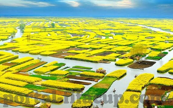 微信抢庄牛牛平台-微信抢庄牛牛平台的兴起与影响